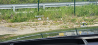 slider-img
